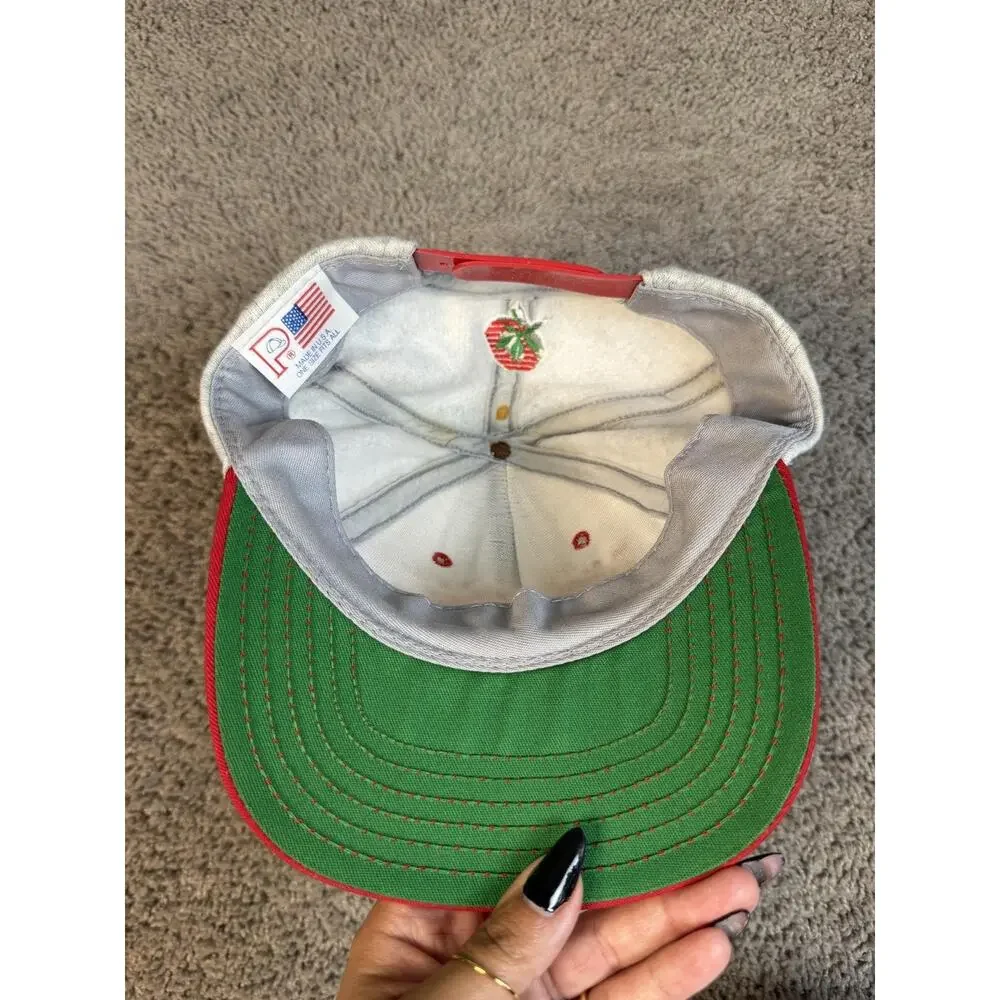 Ohio State Buckeyes Hat Mens One Size Gray Strap Back Football Team Apparel